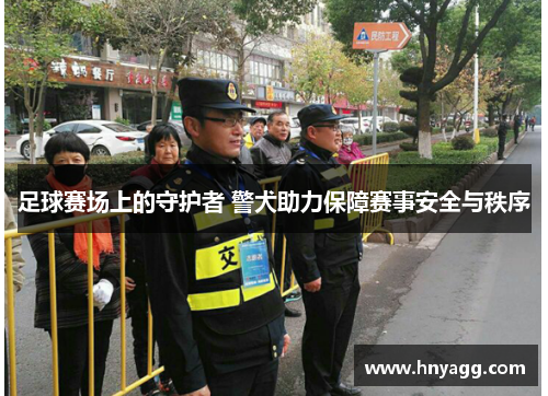 足球赛场上的守护者 警犬助力保障赛事安全与秩序