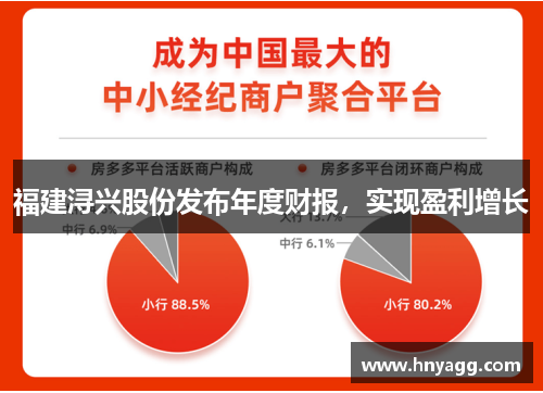 福建浔兴股份发布年度财报，实现盈利增长