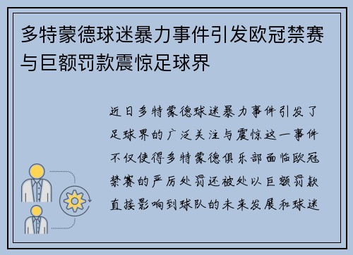 多特蒙德球迷暴力事件引发欧冠禁赛与巨额罚款震惊足球界